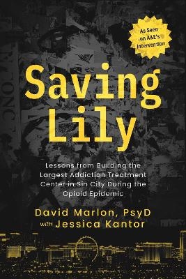 Saving Lily - David Marlon, Jessica Kantor