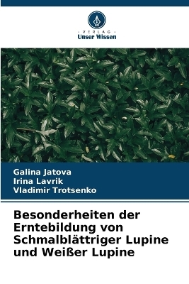 Besonderheiten der Erntebildung von Schmalblättriger Lupine und Weißer Lupine