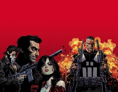 Marvel Knights: Punisher - Jimmy Palmiotti