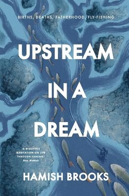 Upstream in a Dream