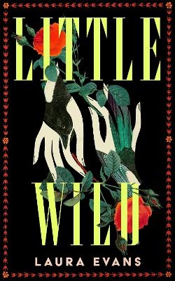 Little Wild - Laura Evans