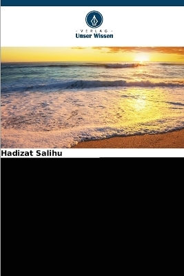 Von I.W.D. zu N.I.W.A.; Auswirkungen auf die Entwicklung von Lokoja 1956-2007