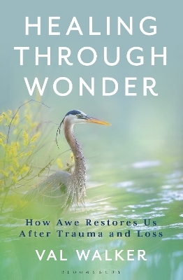 Healing Through Wonder - Val Walker
