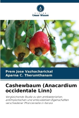 Cashewbaum (Anacardium occidentale Linn)