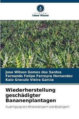 Wiederherstellung geschädigter Bananenplantagen