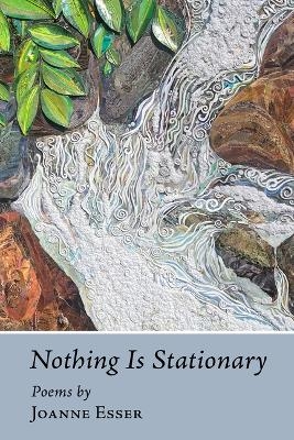 Nothing Is Stationary - Joanne Esser