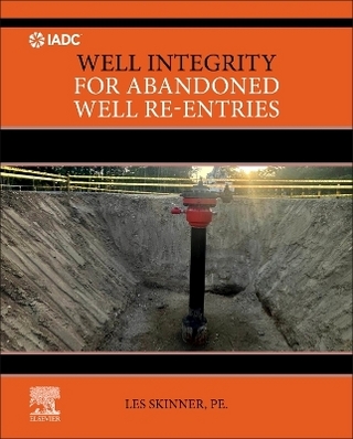 Well Integrity for Abandoned Well Re-entries