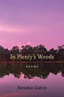 In Plenty's Woods - Brendan Galvin