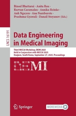 Data Engineering in Medical Imaging - 