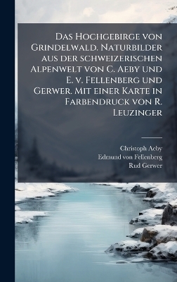 Das Hochgebirge von Grindelwald. Naturbilder aus der schweizerischen Alpenwelt von C. Aeby und E. v. Fellenberg und Gerwer. Mit einer Karte in Farbendruck von R. Leuzinger