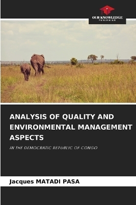 Analysis of Quality and Environmental Management Aspects - Jacques MATADI PASA
