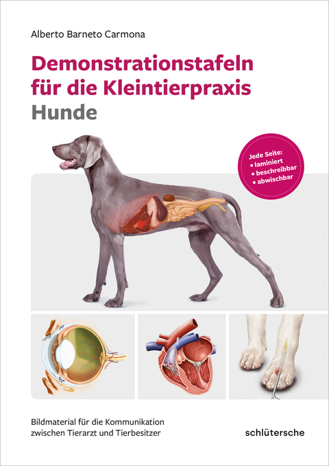 Demonstrationstafeln f&uuml;r die Kleintierpraxis Hunde - Alberto Barneto Carmona