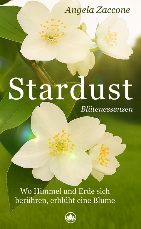 Stardust - Angela Zaccone