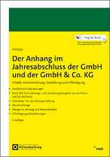 Der Anhang im Jahresabschluss der GmbH und der GmbH & Co. KG - Philipps, Holger