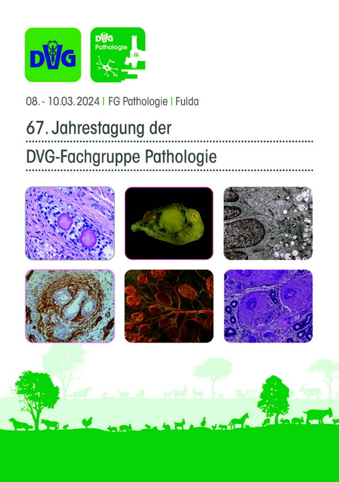 67. Jahrestagung der DVG-Fachgruppe Pathologie 2024