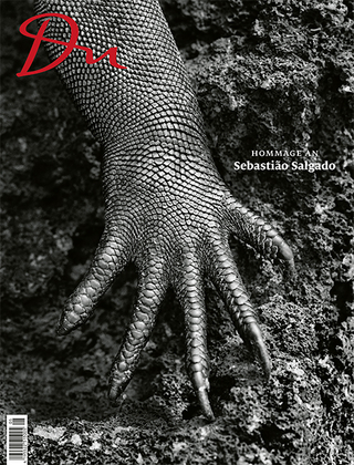 Hommage an Sebastião Salgado