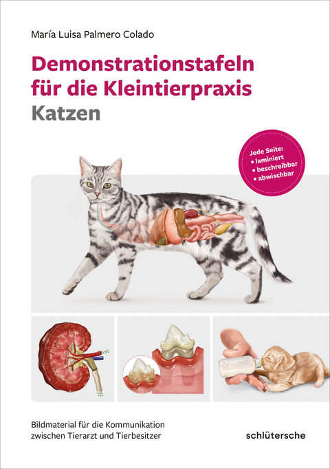 Demonstrationstafeln f&uuml;r die Kleintierpraxis Katzen - Mar&iacute;a Luisa Palmero Colado