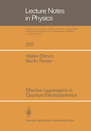 Effective Lagrangians in Quantum Electrodynamics
