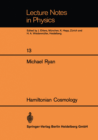 Hamiltonian Cosmology