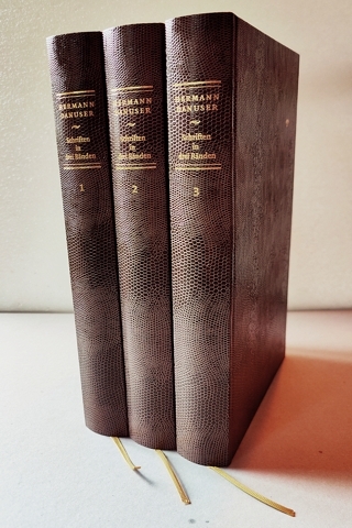 Schriften in drei B&auml;nden - Hermann Danuser