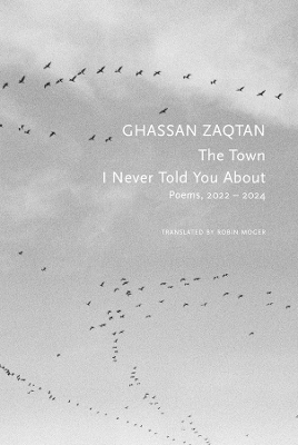 The Town I Never Told You About - Ghassan Zaqtan