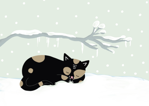 Gru&szlig;karte Weihnachten Katze