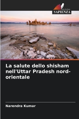 La salute dello shisham nell'Uttar Pradesh nord-orientale