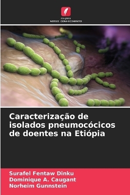 Caracterização de isolados pneumocócicos de doentes na Etiópia