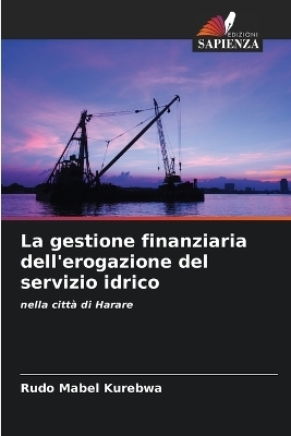 La gestione finanziaria dell'erogazione del servizio idrico