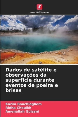 Dados de sat&eacute;lite e observa&ccedil;&otilde;es da superf&iacute;cie durante eventos de poeira e brisas - Karim Bouchlaghem, Ridha Chouikh, Amenallah Guizani