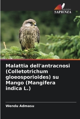 Malattia dell'antracnosi (Colletotrichum gloeosporioides) su Mango (Mangifera indica L.) - Wendu Admasu