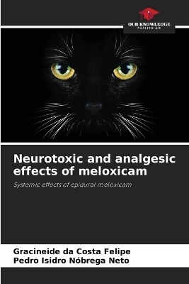 Neurotoxic and analgesic effects of meloxicam - Gracineide da Costa Felipe, Pedro Isidro N&oacute;brega Neto