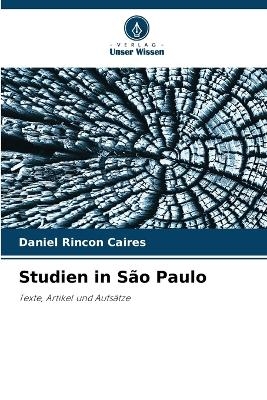Studien in São Paulo - Daniel Rincon Caires