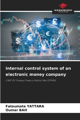 Internal control system of an electronic money company