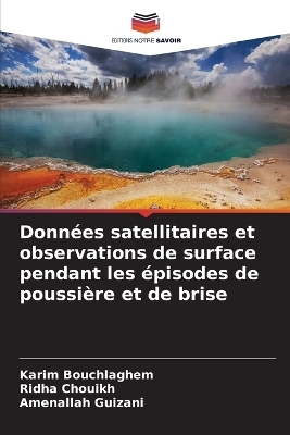 Donn&eacute;es satellitaires et observations de surface pendant les &eacute;pisodes de poussi&egrave;re et de brise - Karim Bouchlaghem, Ridha Chouikh, Amenallah Guizani