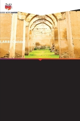 L'impact de la mondialisation sur la culture maghr&eacute;bine - LARBI Qwider