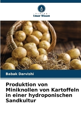 Produktion von Miniknollen von Kartoffeln in einer hydroponischen Sandkultur