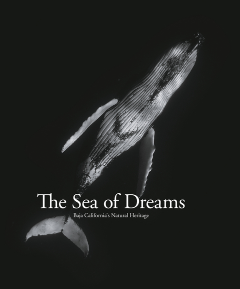 Sea of Dreams: Baja California Natural Heritage - Christopher Swann