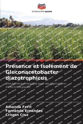 Présence et isolement de Gluconacetobacter diazotrophicus