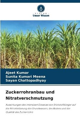 Zuckerrohranbau und Nitratverschmutzung