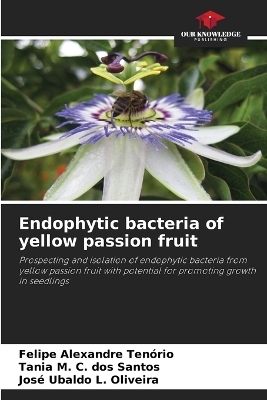 Endophytic bacteria of yellow passion fruit