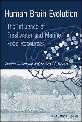 Human Brain Evolution – The Influence of  and marine food resources