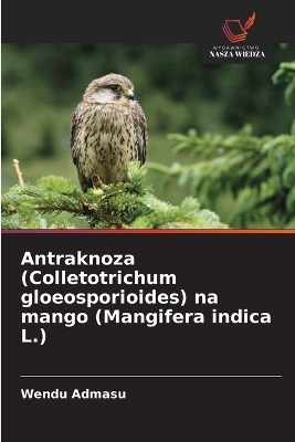 Antraknoza (Colletotrichum gloeosporioides) na mango (Mangifera indica L.)