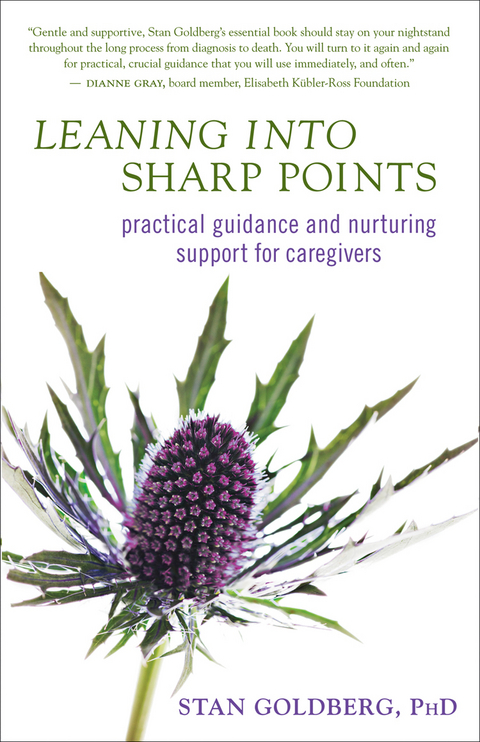 Leaning into Sharp Points - Stan Goldberg