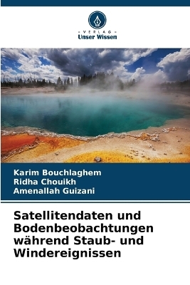 Satellitendaten und Bodenbeobachtungen w&auml;hrend Staub- und Windereignissen - Karim Bouchlaghem, Ridha Chouikh, Amenallah Guizani