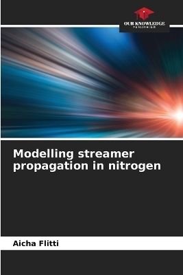 Modelling streamer propagation in nitrogen - Aicha Flitti