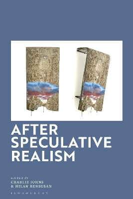 After Speculative Realism - 