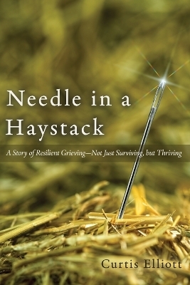 Needle in a Haystack - Curtis Elliott