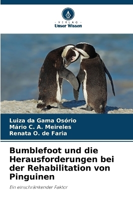 Bumblefoot und die Herausforderungen bei der Rehabilitation von Pinguinen - Luiza da Gama Os&oacute;rio, M&aacute;rio C a Meireles, Renata O de Faria