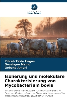 Isolierung und molekulare Charakterisierung von Mycobacterium bovis - Yibrah Tekle Hagos, Gezehgne Mamo, Gobena Ameni